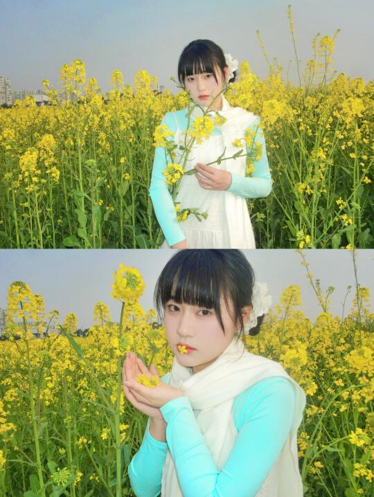 是油画般的春天🌼