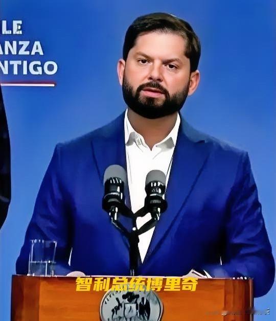 快讯！智利总统痛斥美国！

据智利总统博里奇在1月3日举行的新闻发布会上，对美国