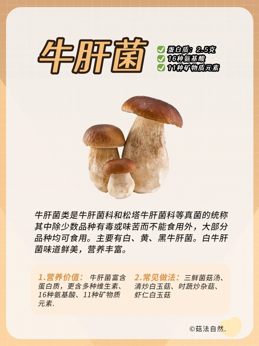 🔥每日菌菇科普——牛肝菌❗️