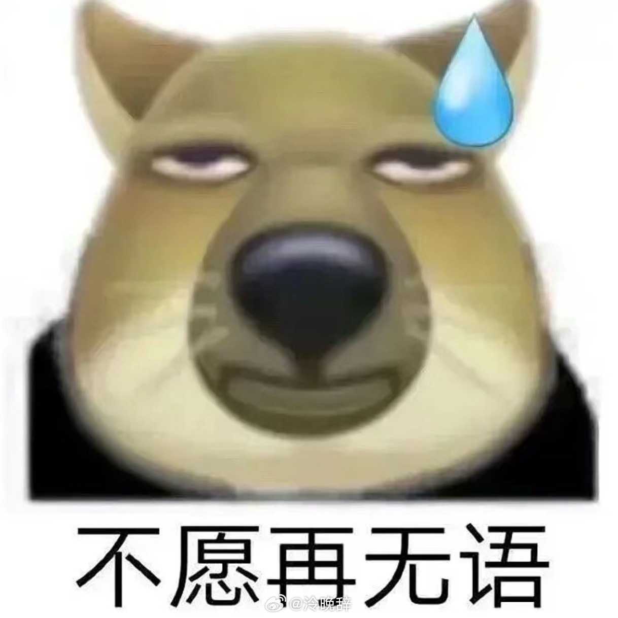微博你还能干不能干了 修复好几个小时到现在你也没修明白   视频发不出去一直云处