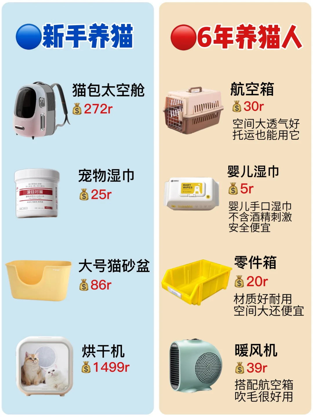新手第一次养猫必备清单｜少花冤枉钱❌
