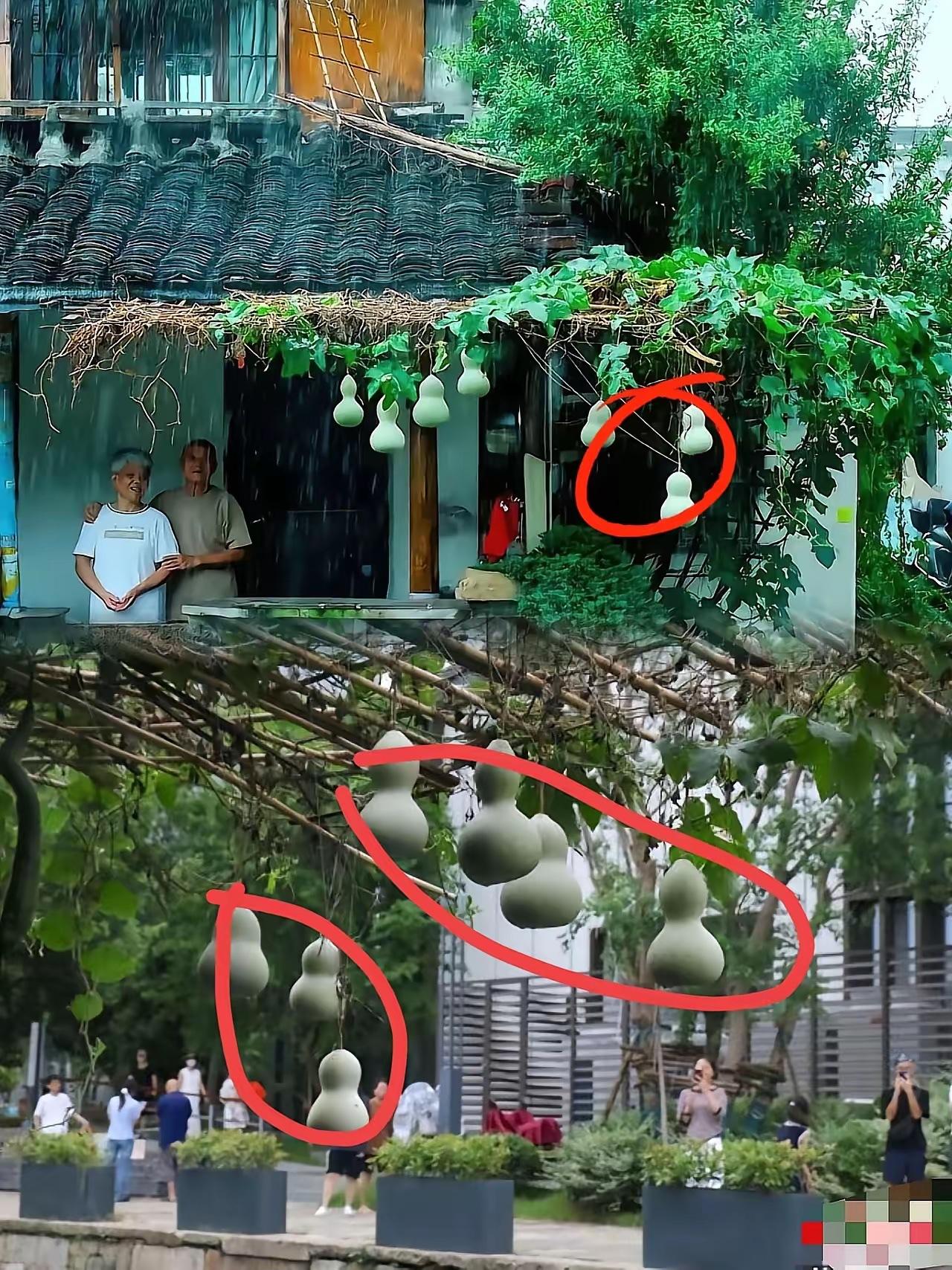 葫芦爷爷这波操作
背后是有高人指点了
先把葫芦剪下来，然后再挂上去，这波操作热度