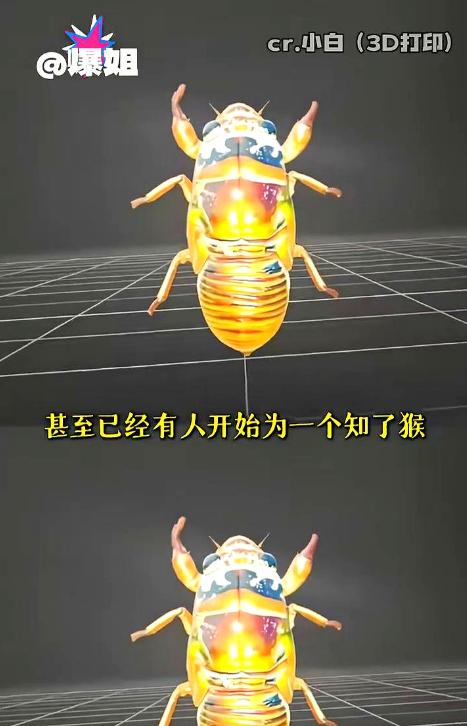 山东抓知了猴的这批人最近估计快要崩溃了，他们千算万算，也没算到能碰上科技感拉满的