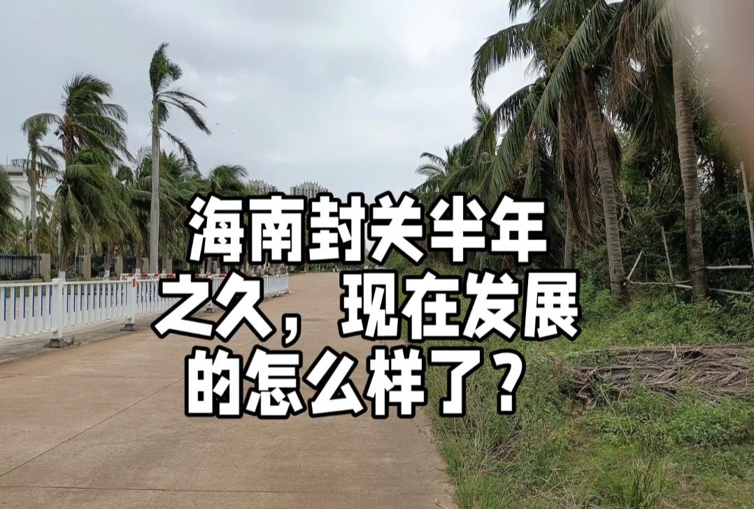 海南封关半年，发展势头强劲，经济数据增长显著，政策红利逐步释放。从贸易数据看，截