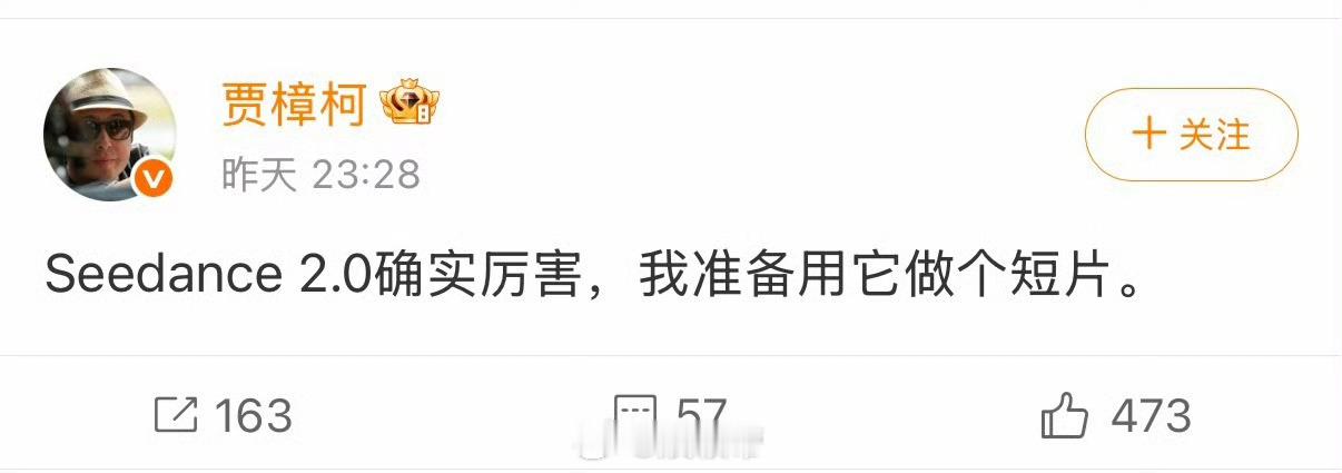 贾樟柯称要用seedance2.0做短片贾樟柯评价Seedance2.0贾樟柯都