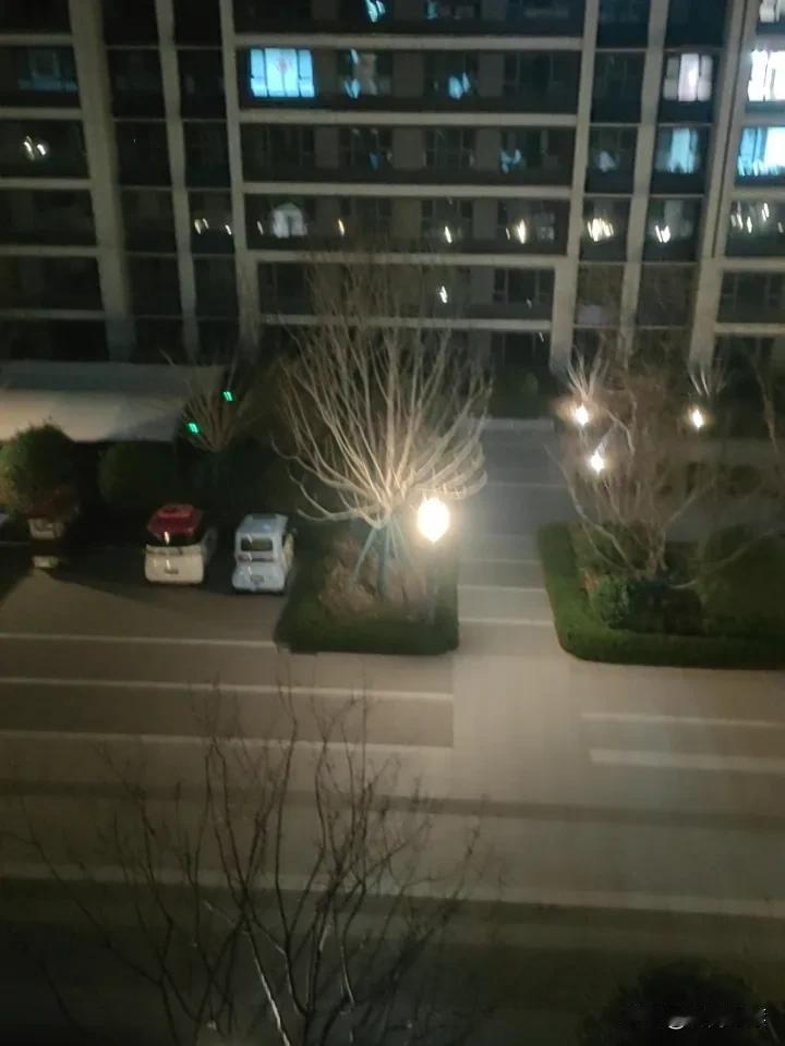 天南地北大拜年别慌，月亮也在大海某处迷茫，但终会升起，照亮你的方向。