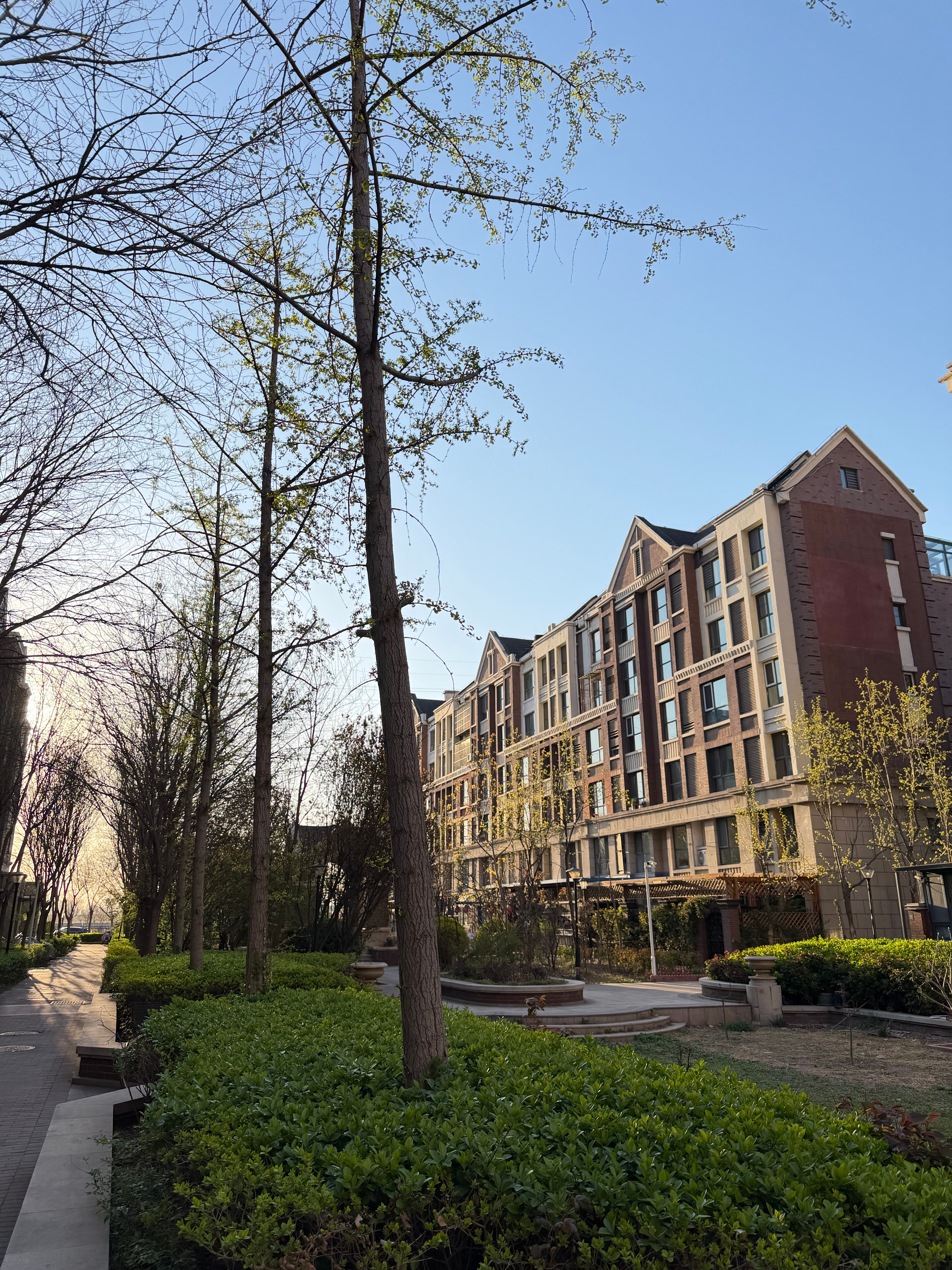 在屋里的时候看天气很好，因为今天温度会比较高。结果一出门把我冻得跑回去换上了羽绒