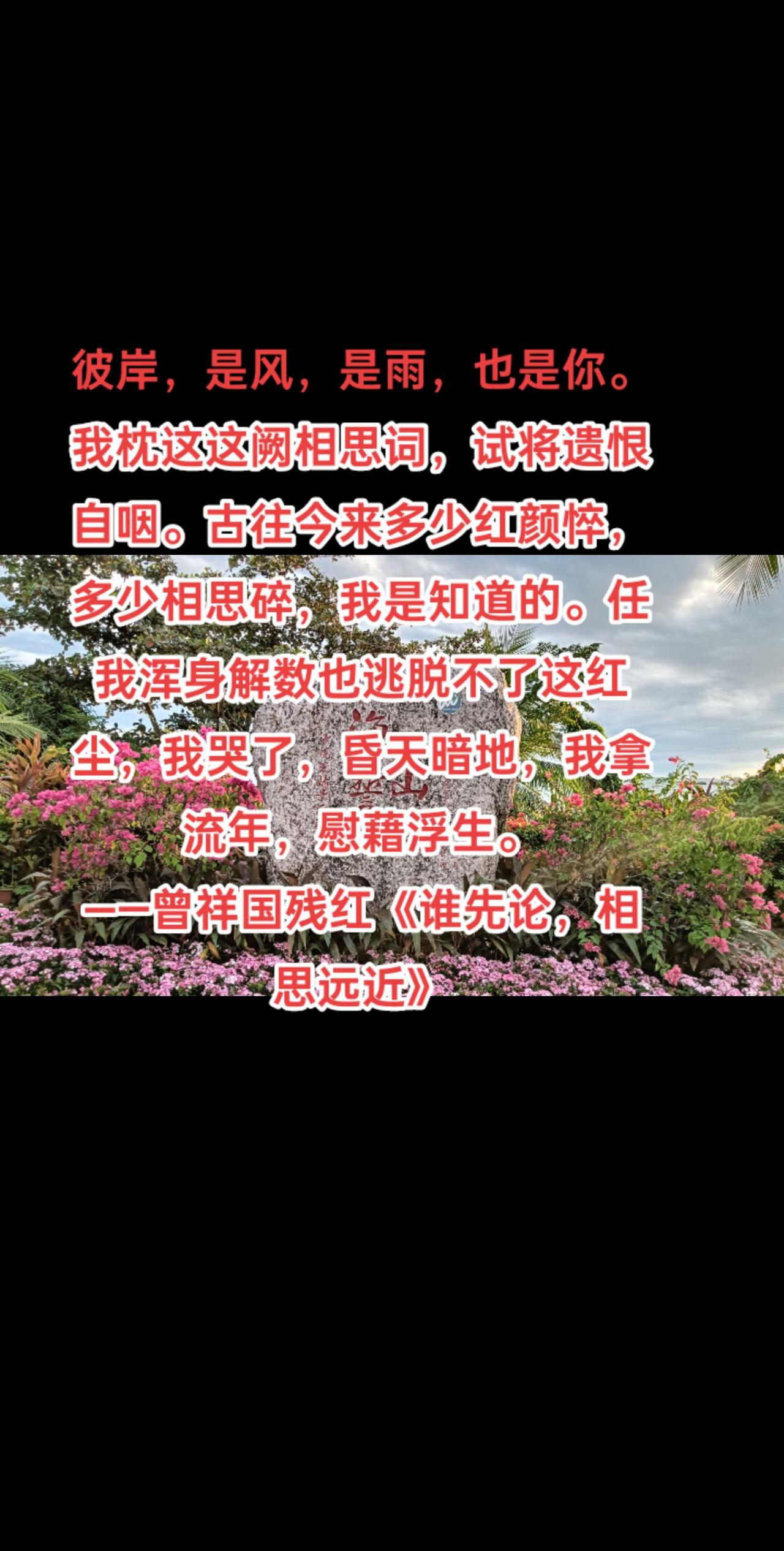 彼岸，是风，是雨，也是你。我枕这这阙相思词，试将遗恨自咽。古往今来多少红颜悴，多