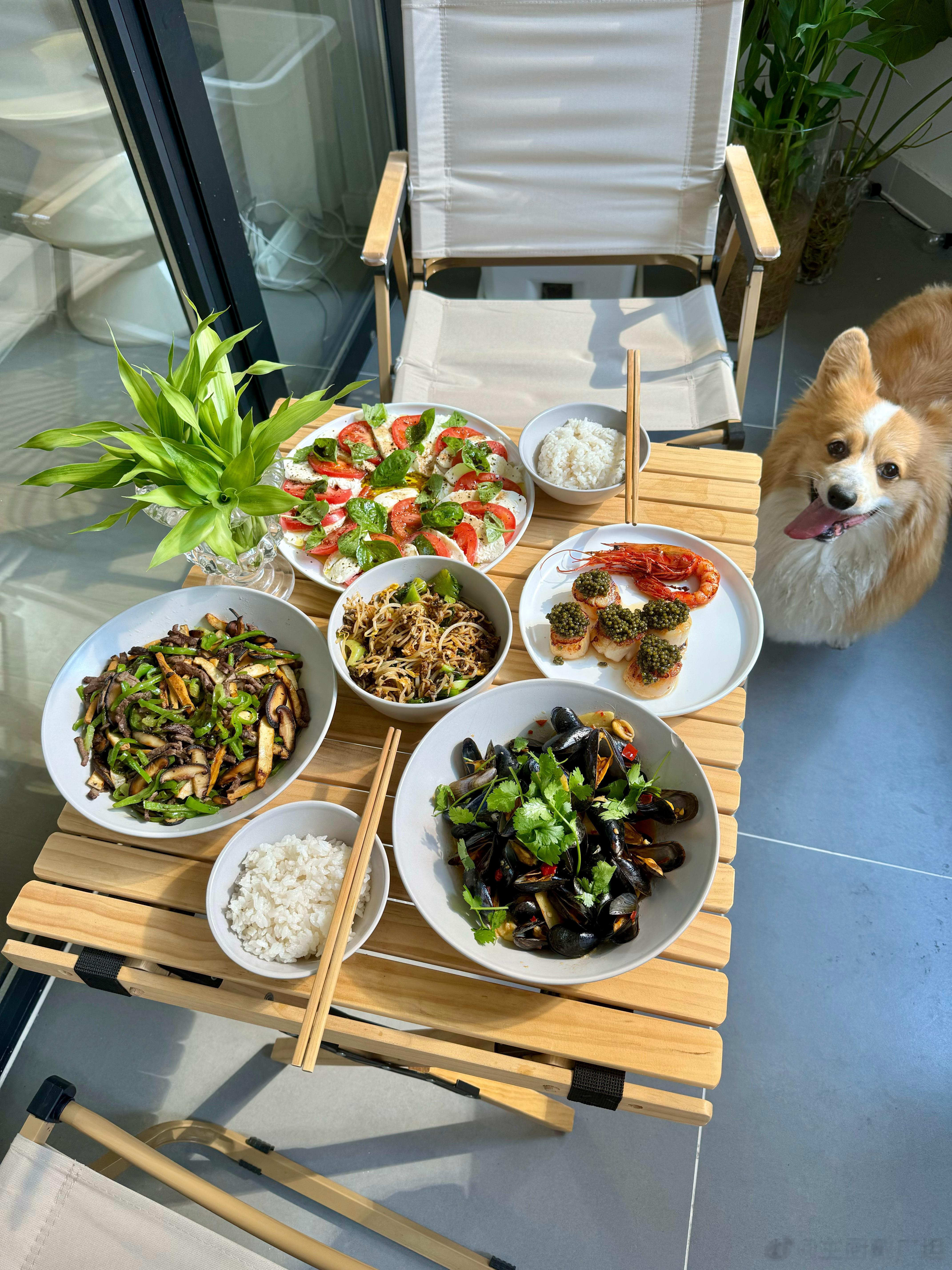 周末清理冰箱库存的午餐：茶油剁椒炒蓝贻贝，马苏里拉番茄沙拉（上面是阳台上自己种的