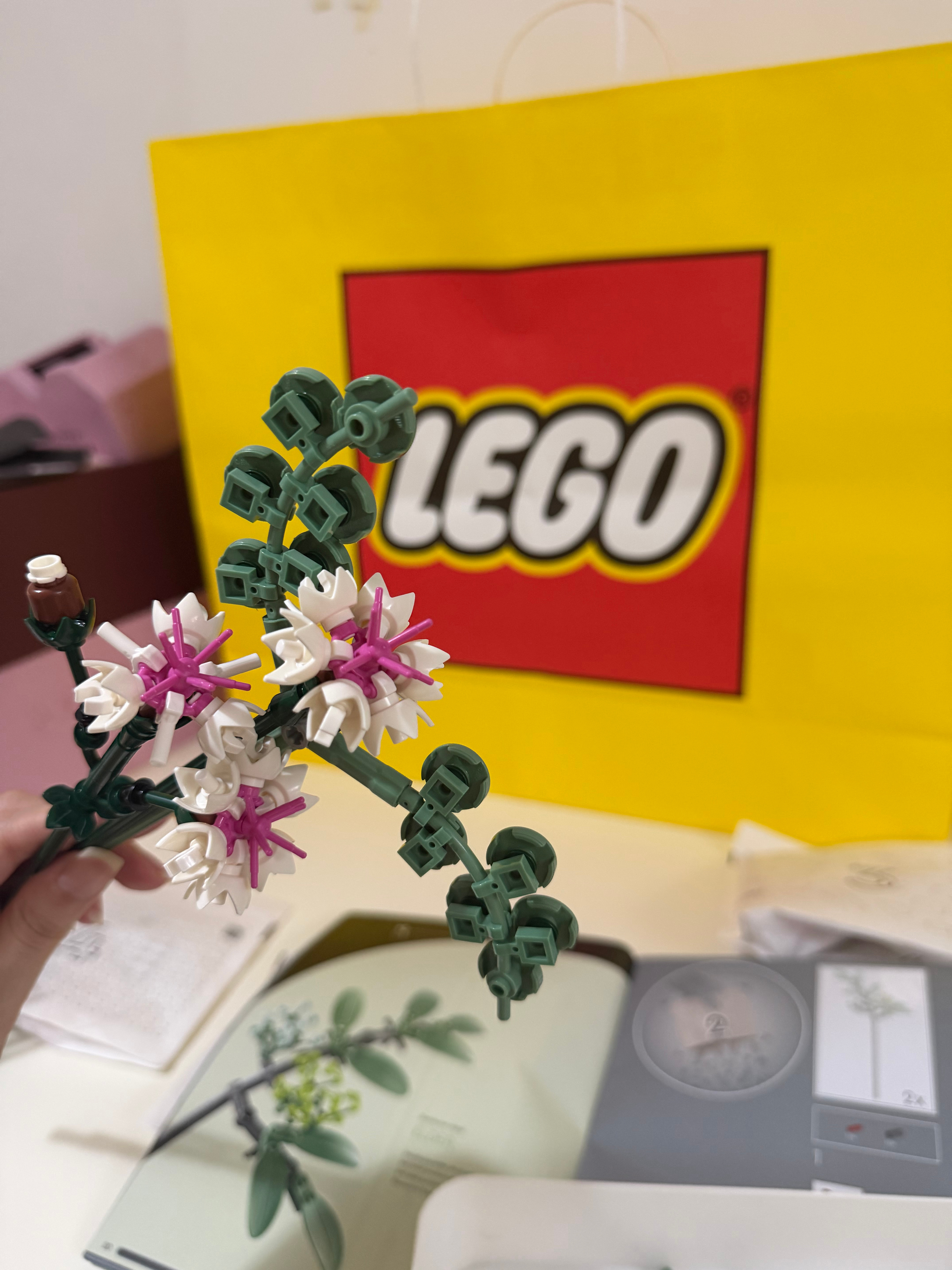 [泪奔]昨晚特别早就睡了，我四点多就醒了就一直刷手机，然后现在开始拼乐高花束，真