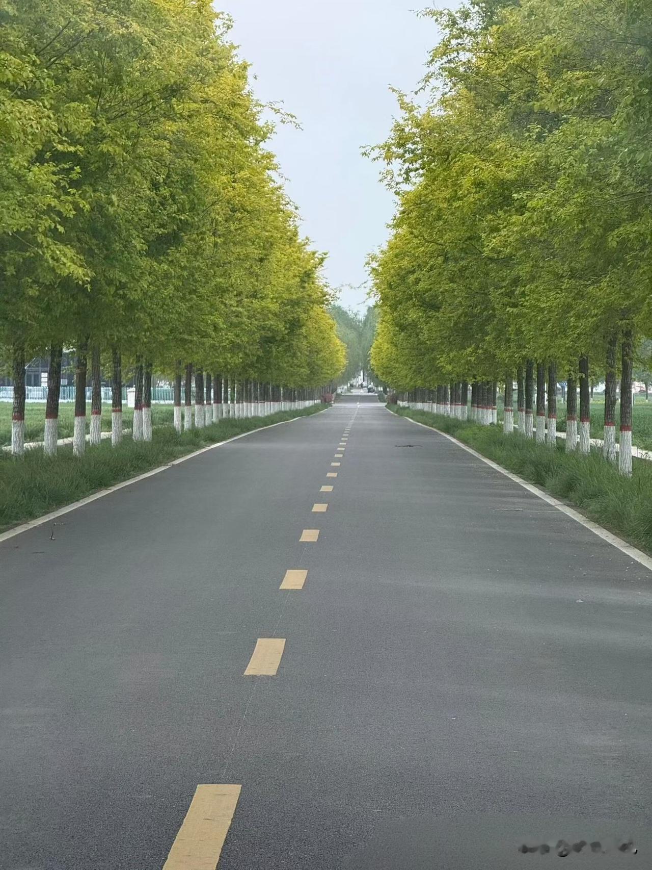 儿时的盛夏，即便气温三十八度，却不觉得燥热。树间吹来的风都是凉丝丝的。