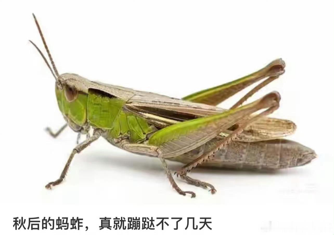 早安，淄博 ~ 
