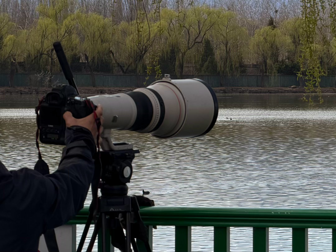 别人的大炮 vs 俺的大炮vivo X300 Ultra专业V单