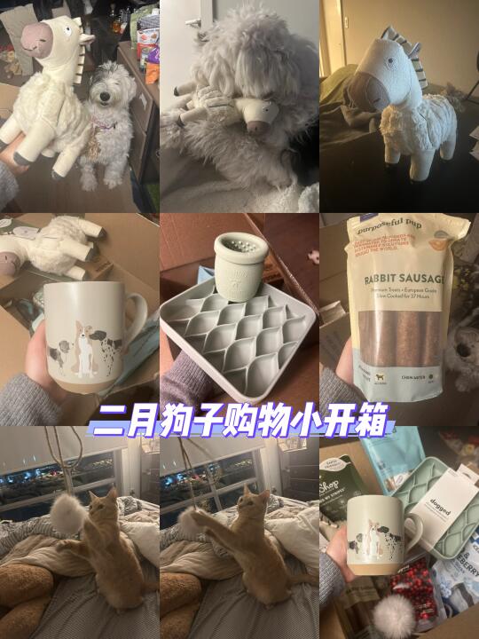 狗狗二月购物小众品牌开箱