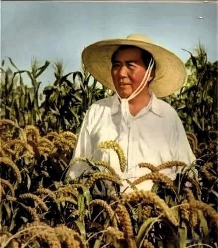 岁月流转五十年，我们永远怀念伟人毛主席
 
秋风寄思念，山河忆初心。

今天，是
