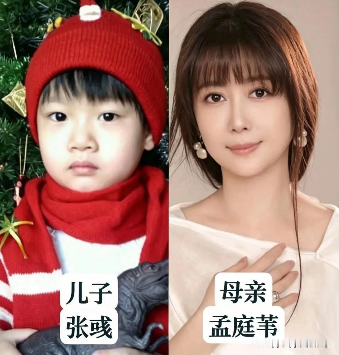 这些星妈们年轻时都是荧幕上惊艳时光的美人，而儿子们也大多继承了她们的好基因，有的