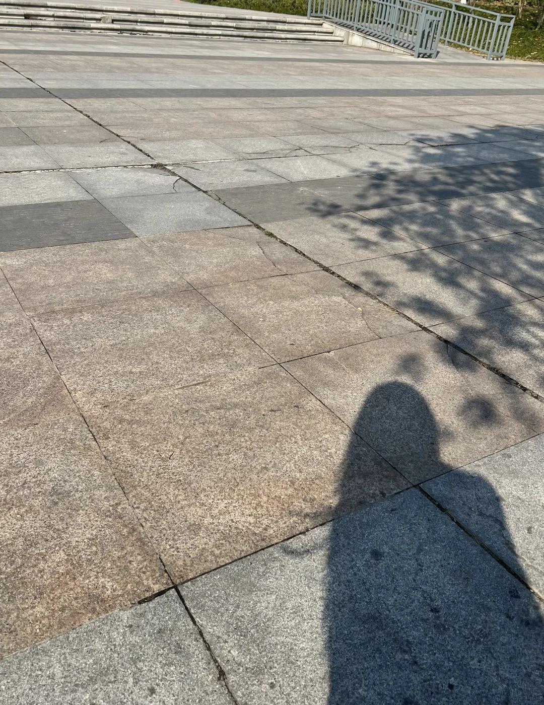 平平静静❤️
一个风和日丽的下午  停止思考，感受这个世界。