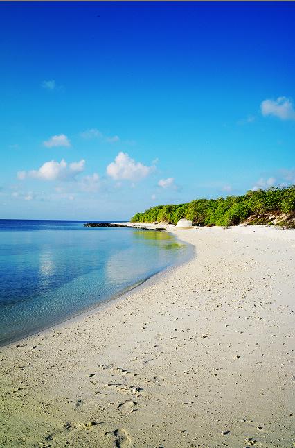 暖心感悟：世间最珍贵，莫过于一份真心惦记
 
[心]惦记，像泉水一样甘甜；问候，
