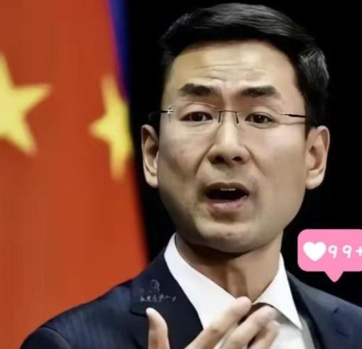 伊朗退了，叙利亚退了，巴勒斯坦退了，黎巴嫩退了，塞尔维亚退了，委内瑞拉退了。他们