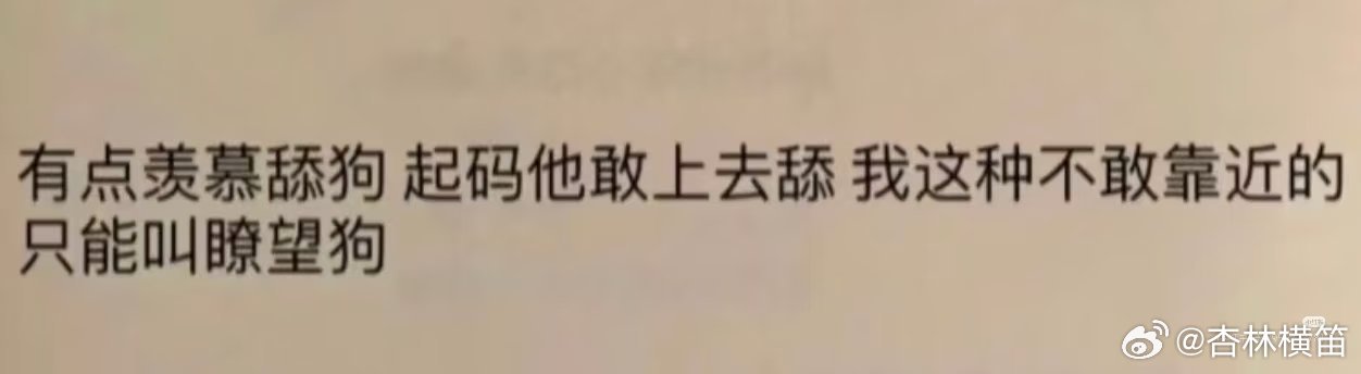 有社恐属性的i人只配当瞭望狗看到这个我差点笑s了这种瞭望狗真的是有贼心没有贼胆妥
