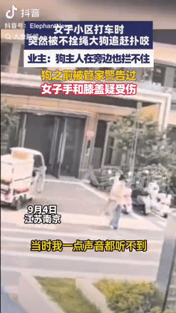 “是个狠人！”江苏南京，一女子在小区打车时，突然被不拴绳的大狗追赶扑咬，狗主人上