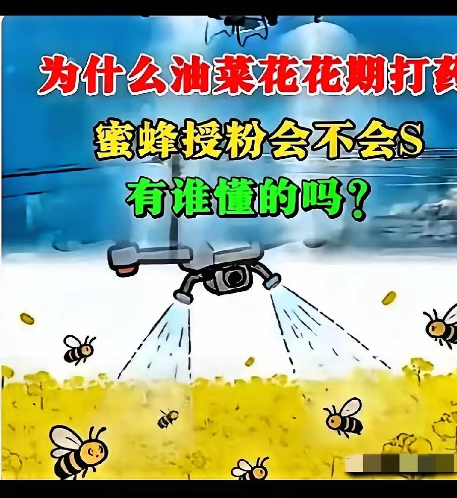 花期打药背后的原因绝不简单！
蜜蜂死亡，表面上是蜂农遭受损失，实际上是我们农业的