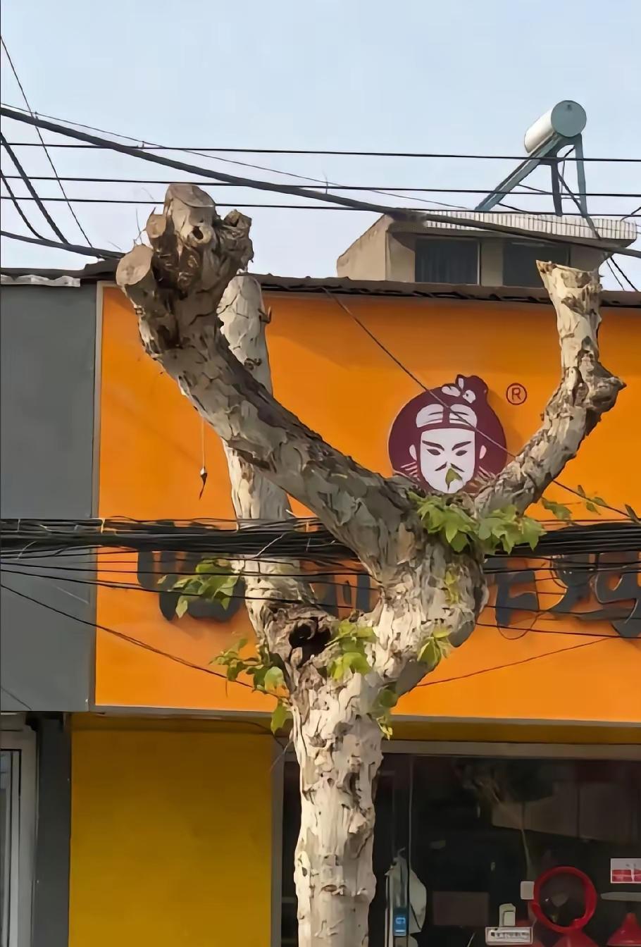 女子怎么也没有想到自己的小店门口，一夜之间就成了一个打卡的网红地点，很多年轻人都