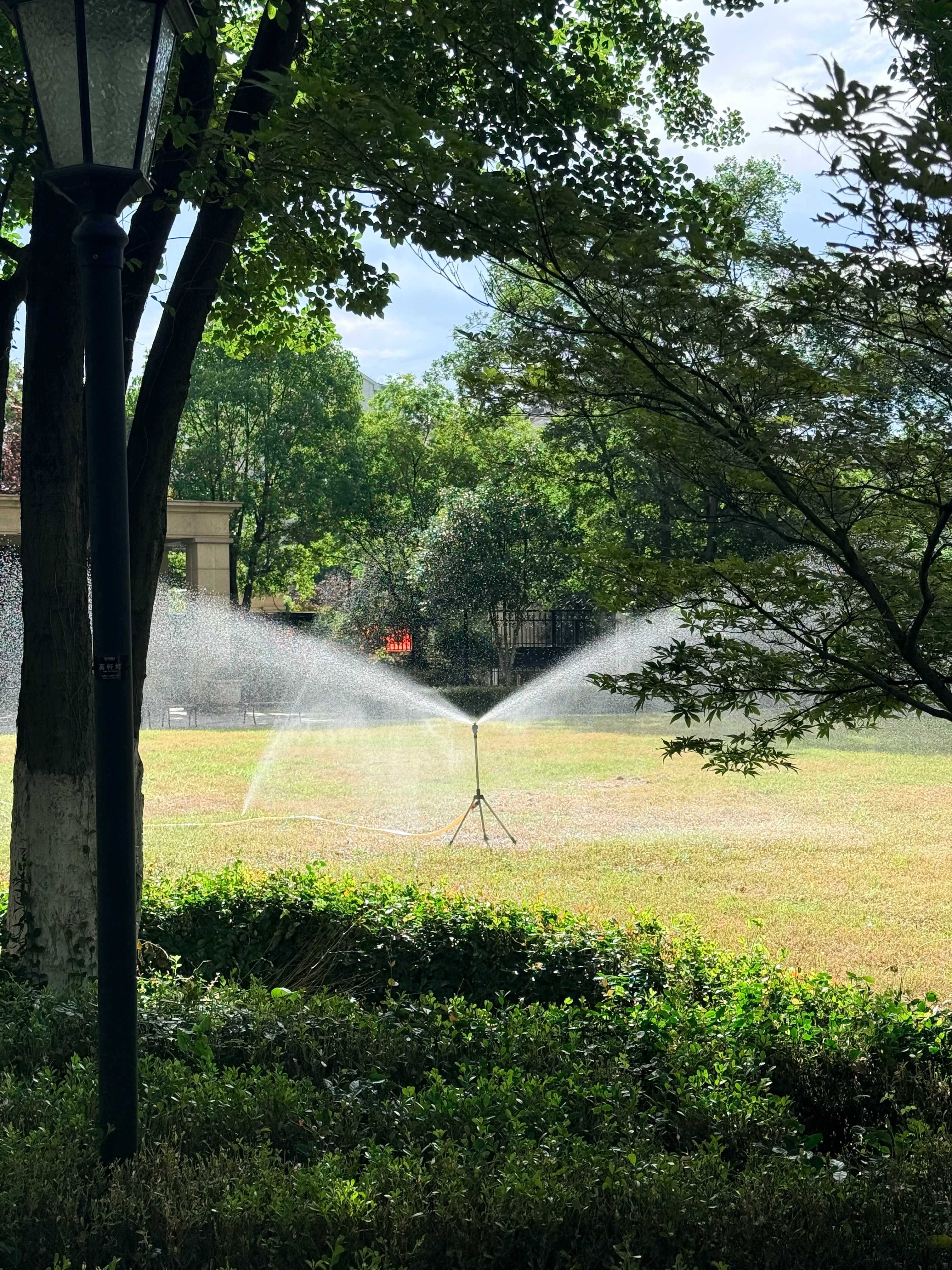 最近睡眠质量贼好 南京