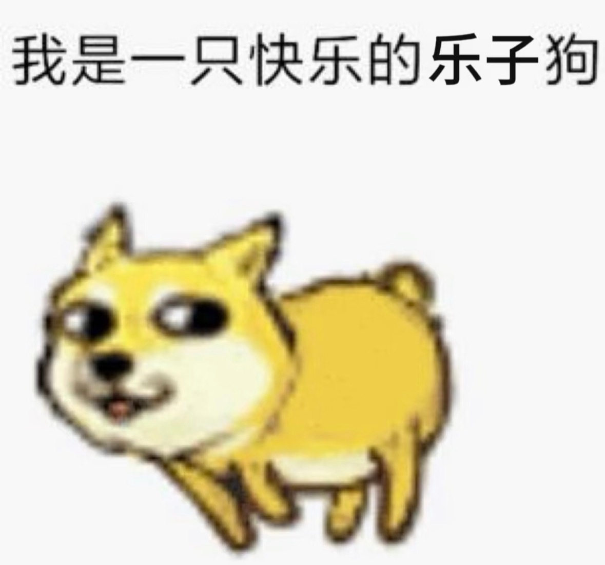 24号前都不养铁呀宝宝们 