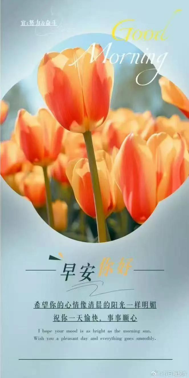 每一个清晨，
都是世界对您说的最温柔的话。
深呼吸，感受这份宁静与美好，
开启元