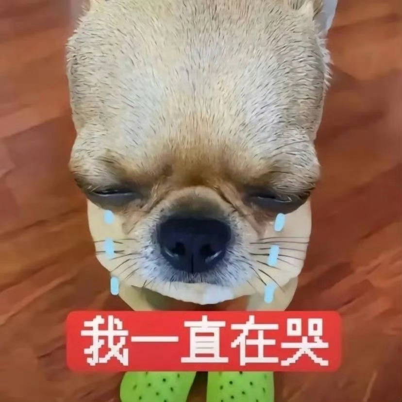 哥哥…哥哥 o(╥﹏╥)o 