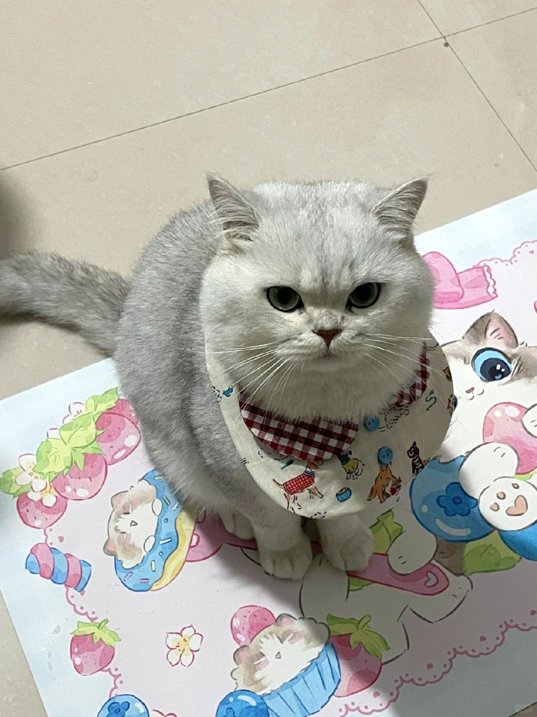 气鼓鼓😠