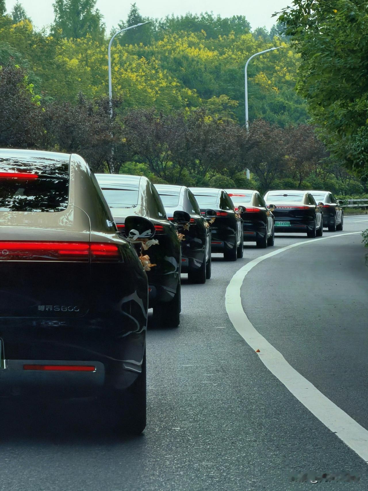 今天车圈大V结婚，清一色的尊界S800婚车，场面壮观啊！