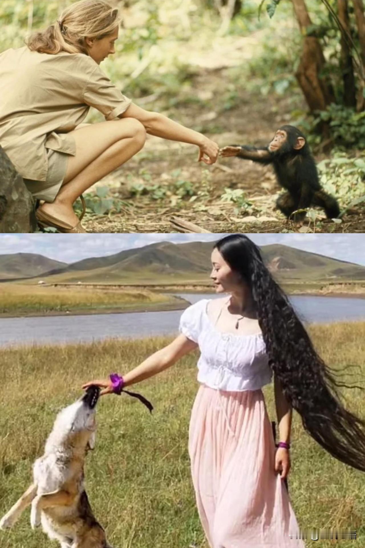 突然明白人类失去母亲已经很久了，这句话。
原来母亲和妻母，
从来都不是一个意思。