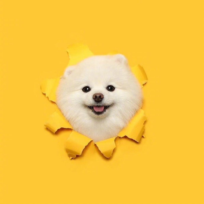 💛   没有谁的生活是容易的   你以为你最惨   其实你只是想被别人拯救 