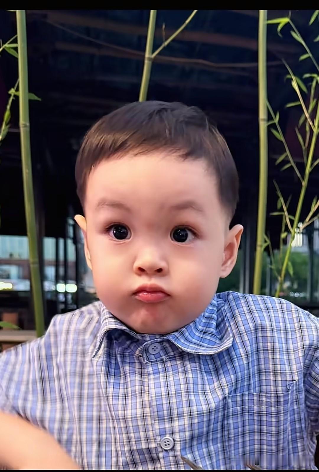 金龟子的小外孙越长越帅气，圆溜溜的大眼睛，亮晶晶的，金宝长得像妈妈也像爸爸，将来