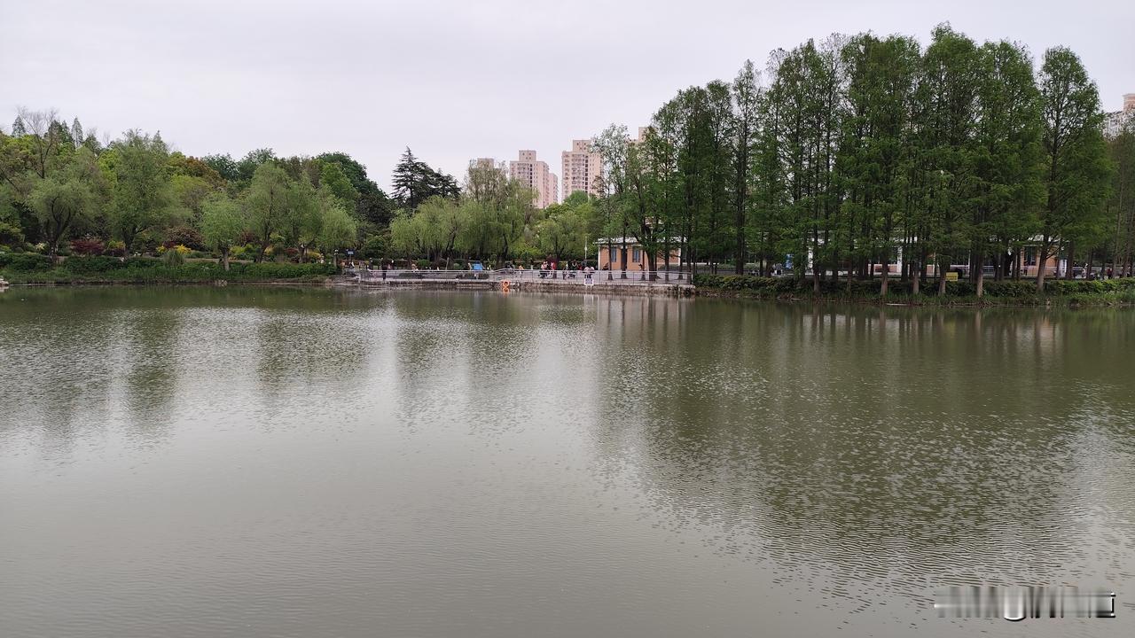 春日生活打卡季春日公园金莲湖