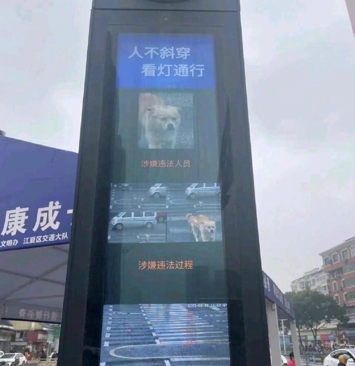 被交通误判的那些年 