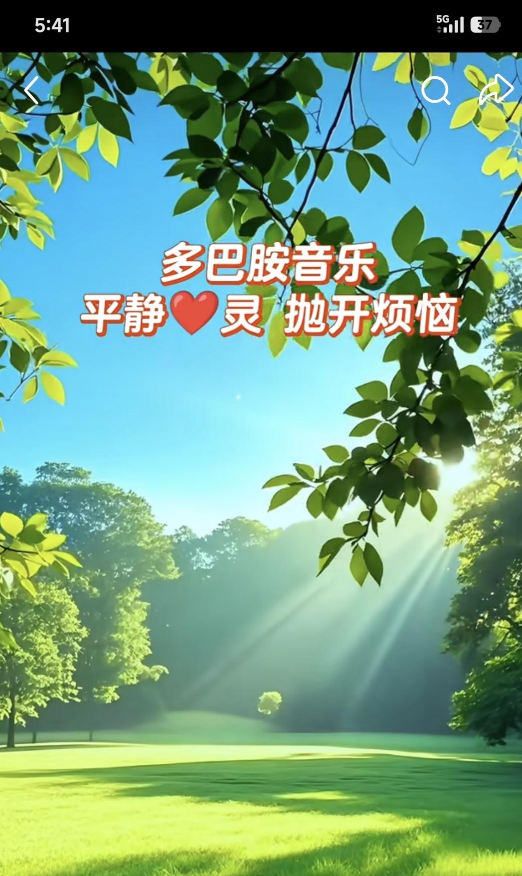 每天清晨必做的事
  每天清晨五点半左右，我总会准时醒来。醒来后并不急着起身，而