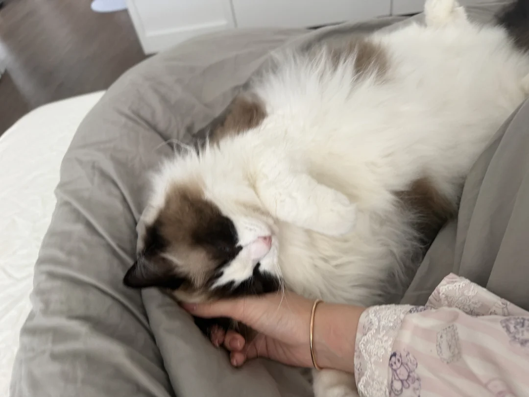 躺我手上睡觉的宝宝真的好乖