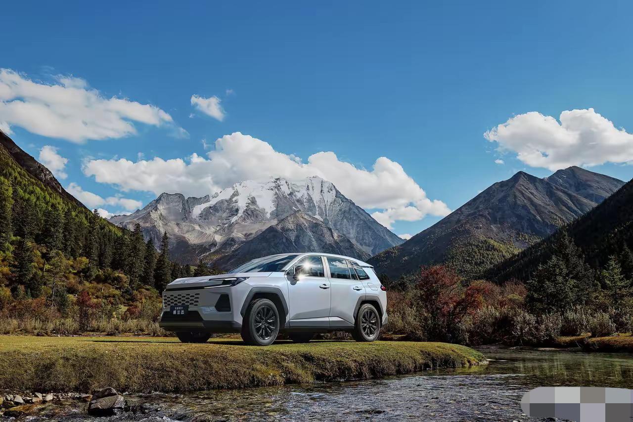 个人建议：
1，要面子——买问界
2，要豪华——买理想
3，要舒适——买蔚来
4