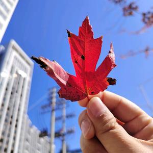 心晴与你分享
