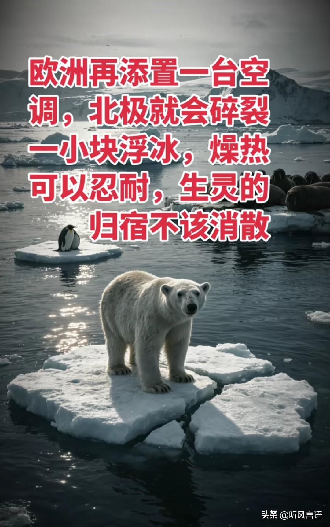 “欧洲每添置一台空调，北极就会碎裂一小块浮冰，燥热可以忍耐，生灵的归宿不该消散。