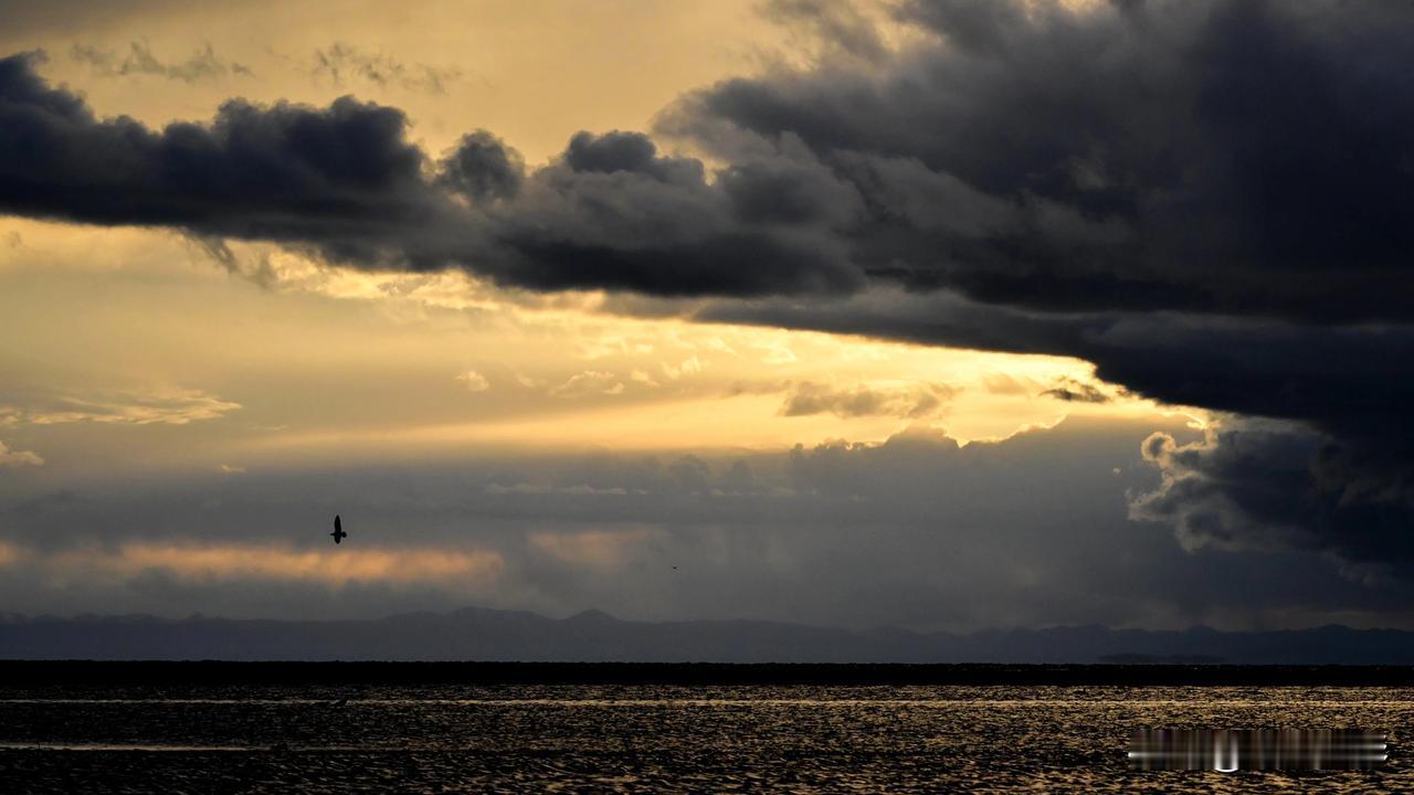 青海湖的晚霞缓缓降落，余晖映照在湖面上，我静静地站在湖边，聆听着湖面上鸟儿的鸣唱
