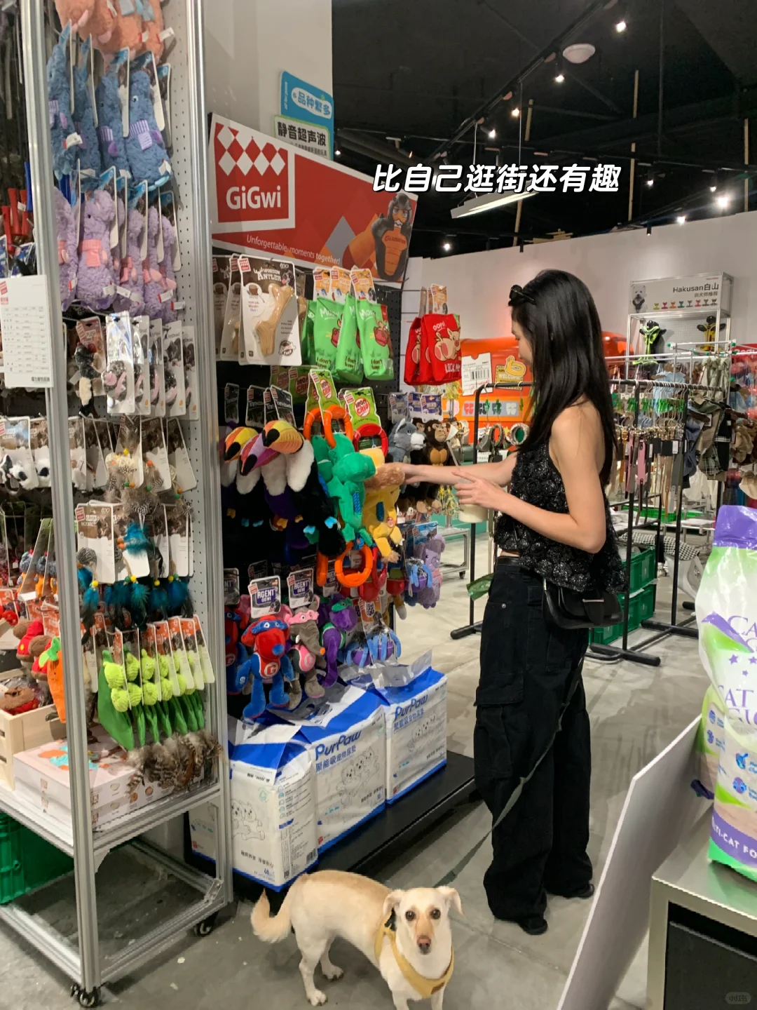 真正的人宠友好！c-park