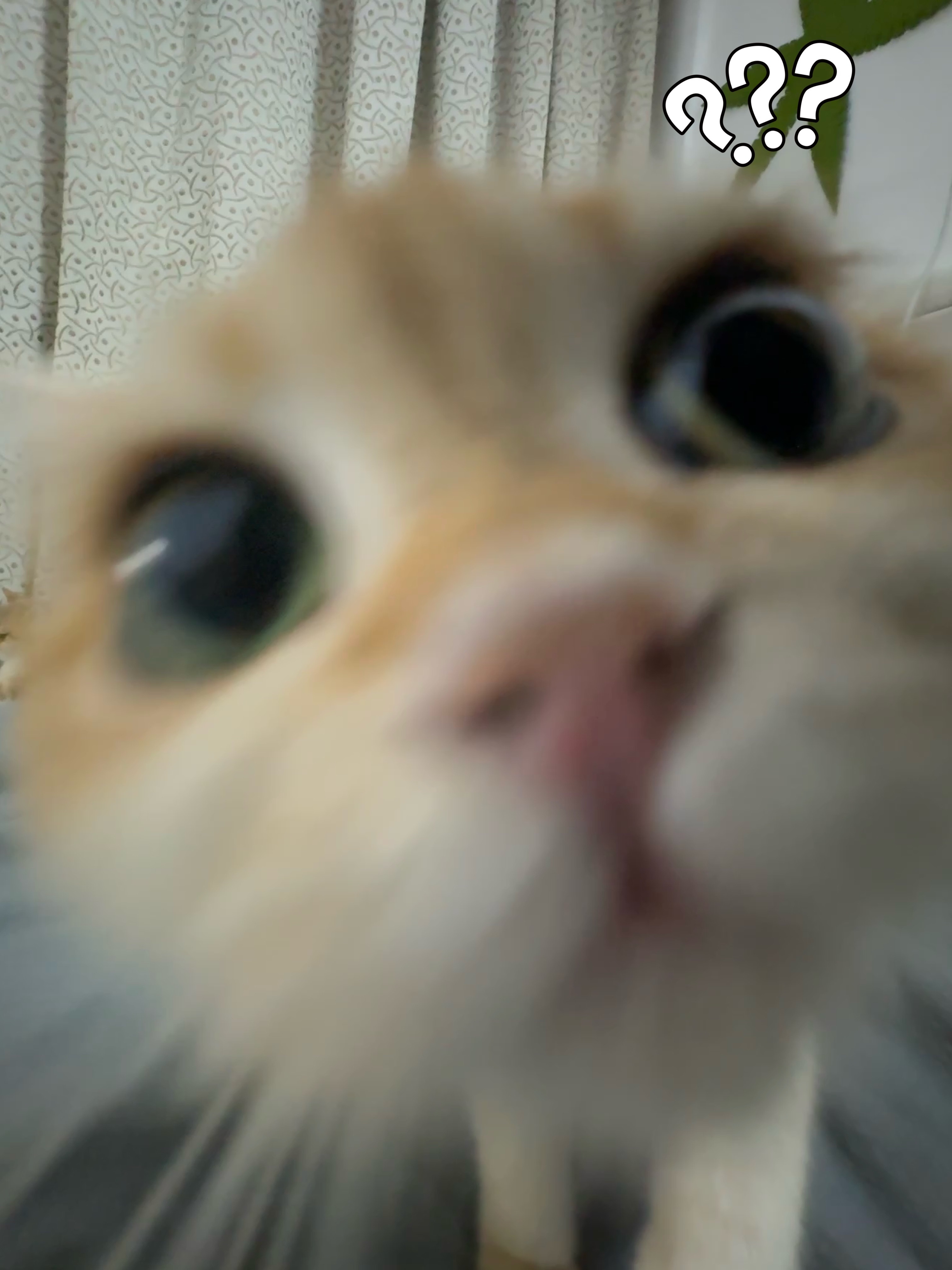 女子花上万办卡被按摩到癌细胞扩散第一次知道原来按摩还能导致癌细胞转移扩散！这也太