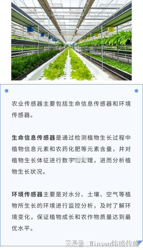 嘿，老乡们，你们发现没？现在的农田越来越“聪明”了！

过去五年，国家在智慧农业