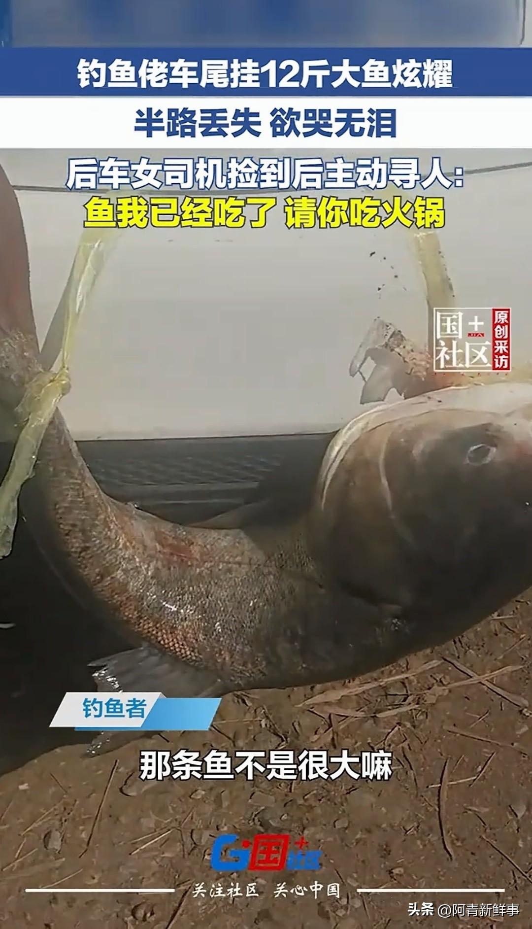 笑不活了！男子开着车，车尾挂着12斤大鱼一路招摇过市就在他沉浸在路人羡慕的目光中