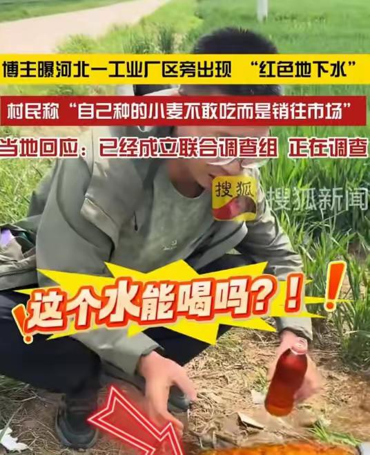 河北保定“红水浇麦”：村民不敢吃的小麦，到底流向了谁的餐桌？

河北保定，一村民