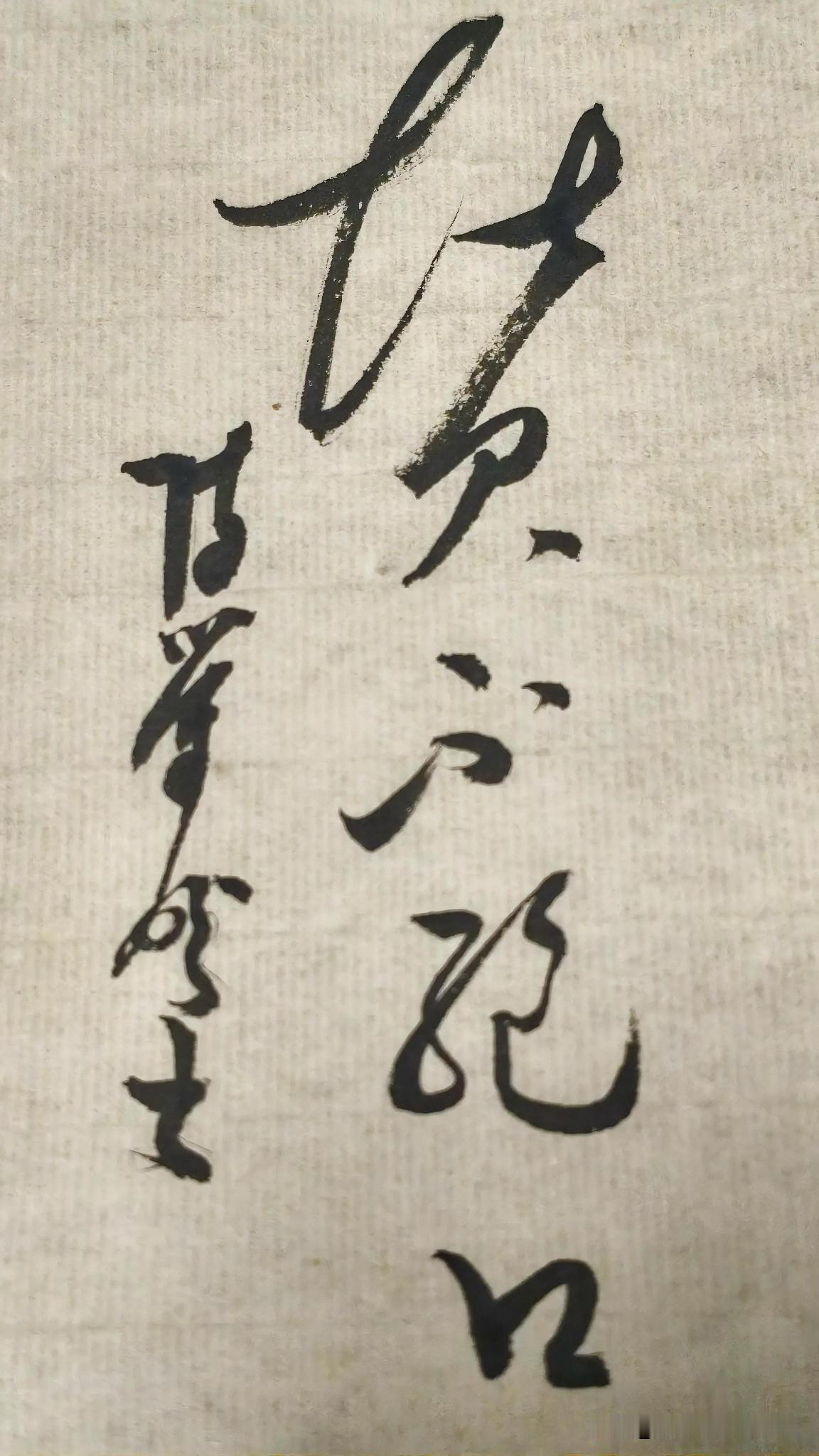 草书精品展示：赞不绝口